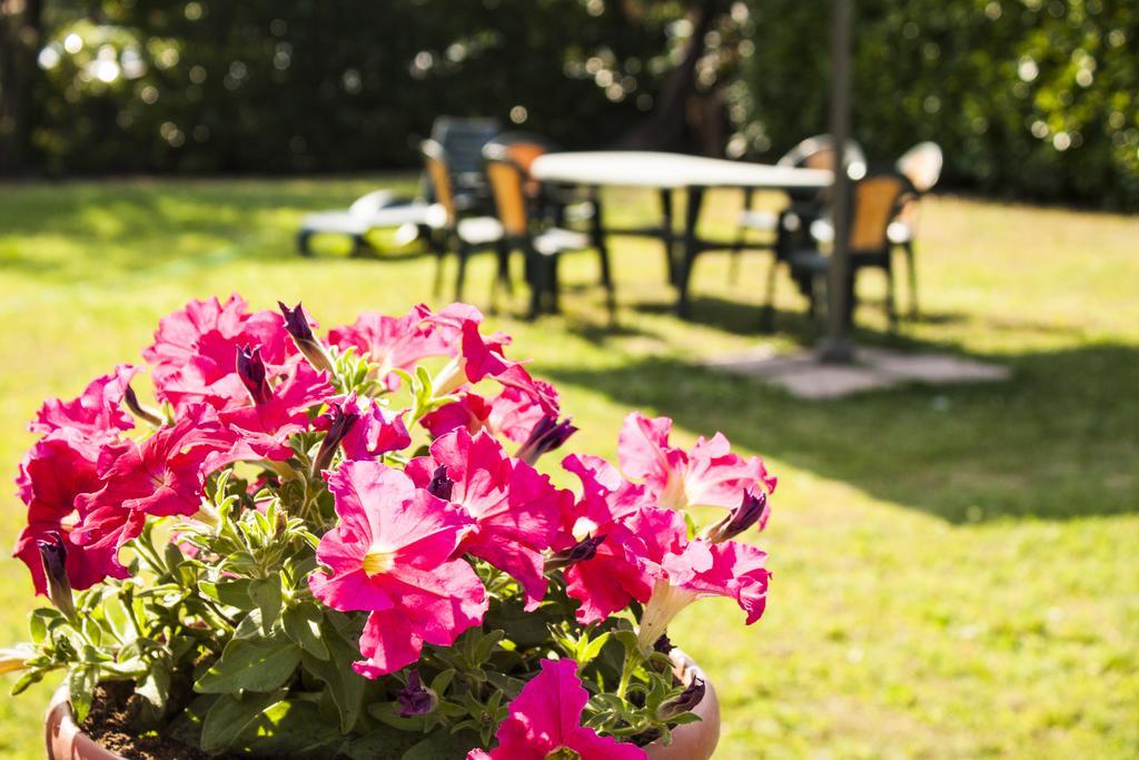 Villa Toscana Il Pino Lucca Eksteriør billede