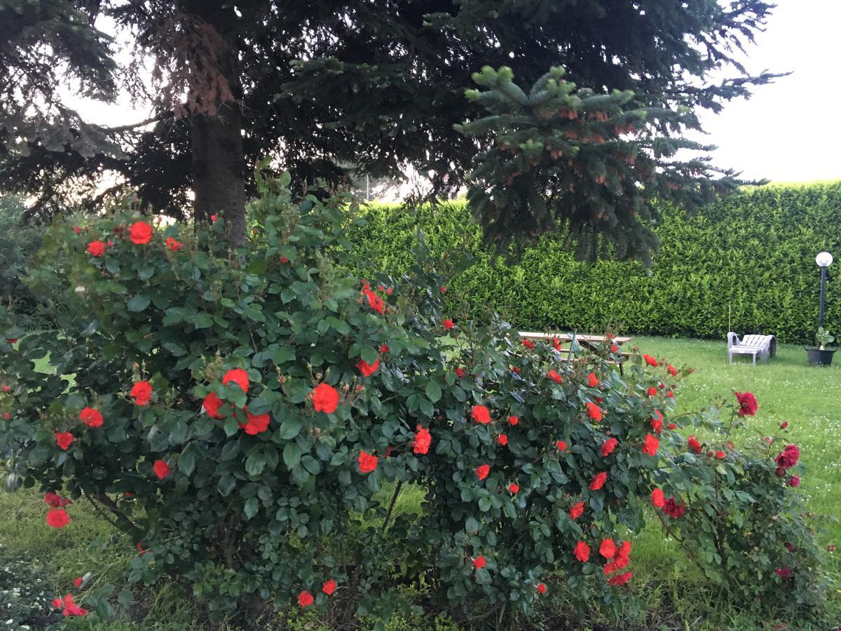 Villa Toscana Il Pino Lucca Eksteriør billede